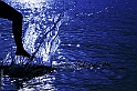 2) Acqua (IMG_1935_4_rid_giusmelix)